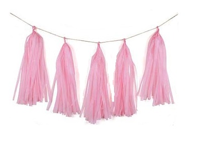 Pink Tissue Tassel Garland